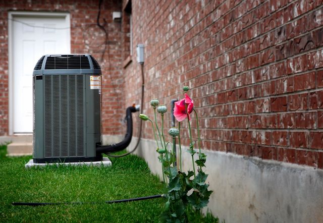 A red flower in the grass next to an air conditioner.